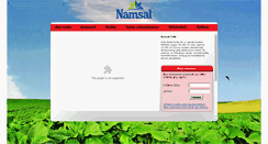 Desktop Screenshot of namsal.com