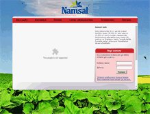 Tablet Screenshot of namsal.com